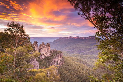 Fully Inclusive Blue Mountains Private Tour Inc Scenic World & Featherdale Entry - Mackay Tourism 5
