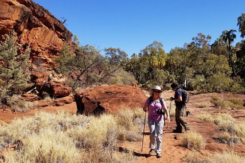 Palm Valley And Hermannsburg 1 Day 4WD Tour - Mackay Tourism 1