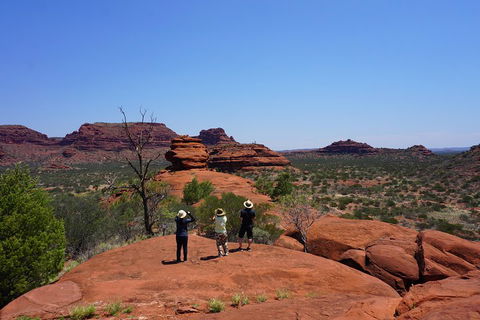 Palm Valley And Hermannsburg 1 Day 4WD Tour - Mackay Tourism 2