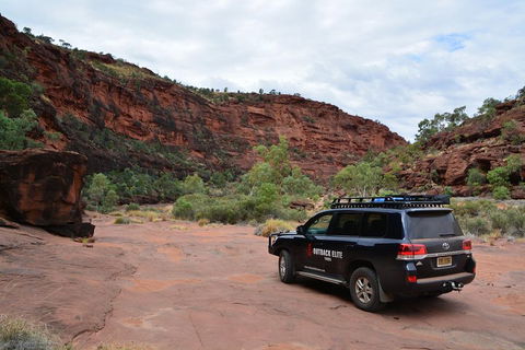 Palm Valley And Hermannsburg 1 Day 4WD Tour - Mackay Tourism 5