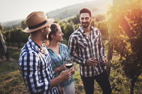 Full Day Mount Tamborine Winery Tour From Gold Coast - Mackay Tourism 5