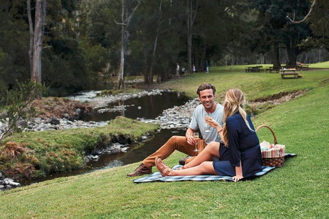 Mt Tamborine - Hinterland Wonders Self Guided - Mackay Tourism 0