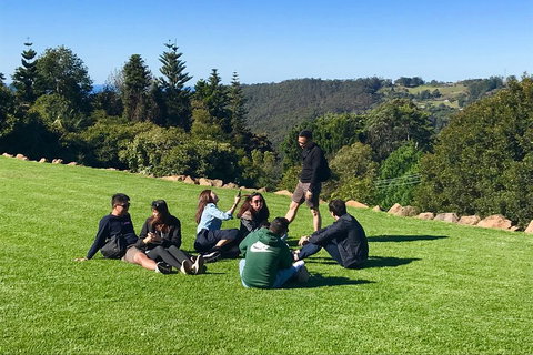 Mt Tamborine - Hinterland Wonders Self Guided - Mackay Tourism 1