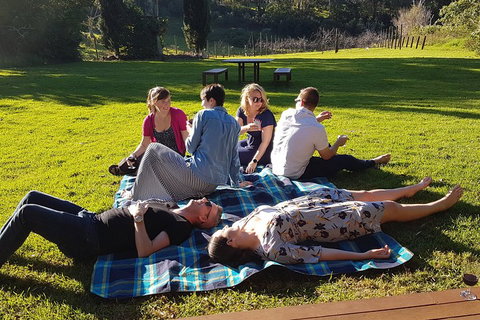 Mt Tamborine - Hinterland Wonders Self Guided - Mackay Tourism 2