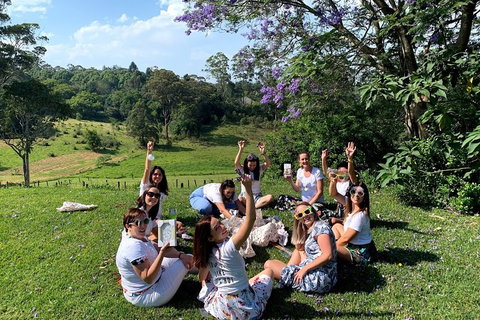 Mt Tamborine - Hinterland Wonders Self Guided - Mackay Tourism 5