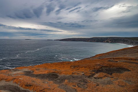Kangaroo Island Luxury Small Group 'Flinders Chase Focus' Full Day Tour - Mackay Tourism 0