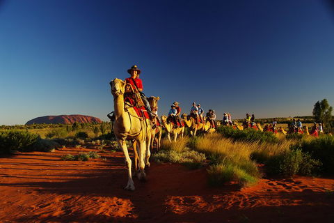 Uluru Small-Group Tour By Camel At Sunrise Or Sunset - Mackay Tourism 1