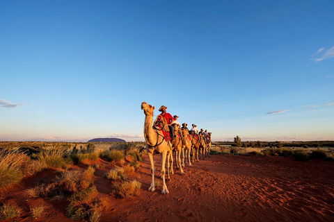 Uluru Small-Group Tour By Camel At Sunrise Or Sunset - Mackay Tourism 3