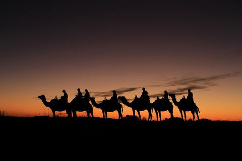 Uluru Small-Group Tour By Camel At Sunrise Or Sunset - Mackay Tourism 4