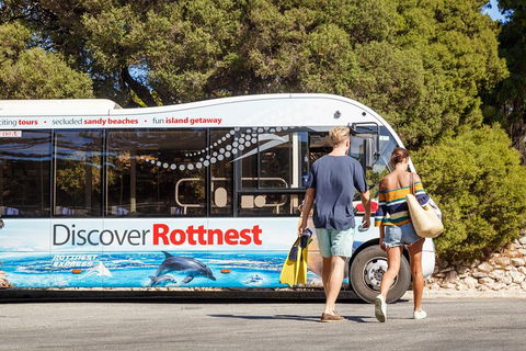 Discover Rottnest With Ferry & Bus Tour From Perth Or Fremantle - Mackay Tourism 1