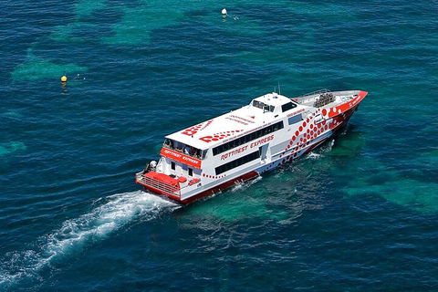 Discover Rottnest With Ferry & Bus Tour From Perth Or Fremantle - Mackay Tourism 3