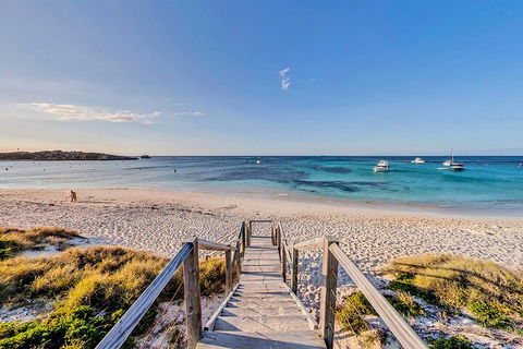 Discover Rottnest With Ferry & Bus Tour From Perth Or Fremantle - Mackay Tourism 4