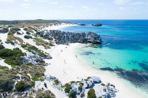 Discover Rottnest With Ferry & Bus Tour From Perth Or Fremantle - Mackay Tourism 5