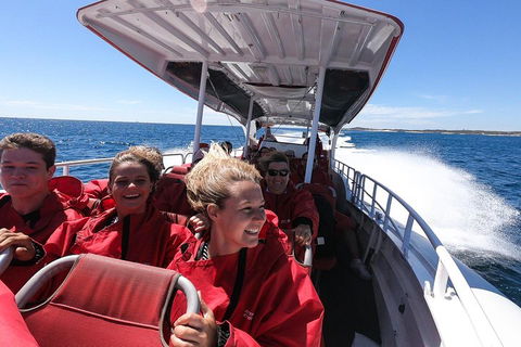 Adventure Rottnest Tour With Ferry & Adventure Cruise From Perth Or Fremantle - Mackay Tourism 0