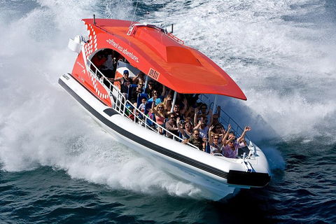 Adventure Rottnest Tour With Ferry & Adventure Cruise From Perth Or Fremantle - Mackay Tourism 2