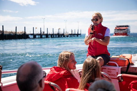 Adventure Rottnest Tour With Ferry & Adventure Cruise From Perth Or Fremantle - Mackay Tourism 4