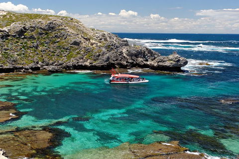 Adventure Rottnest Tour With Ferry & Adventure Cruise From Perth Or Fremantle - Mackay Tourism 5