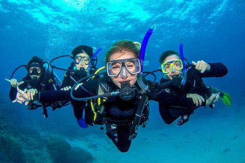 Great Barrier Reef Diving And Snorkeling Cruise From Cairns - Mackay Tourism 0