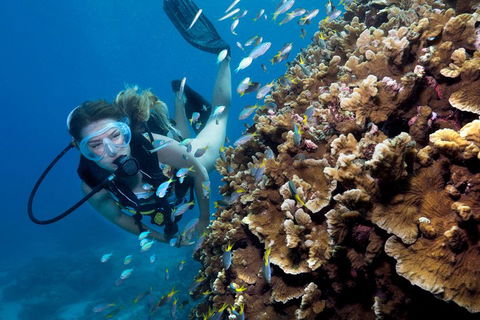 Great Barrier Reef Diving And Snorkeling Cruise From Cairns - Mackay Tourism 1