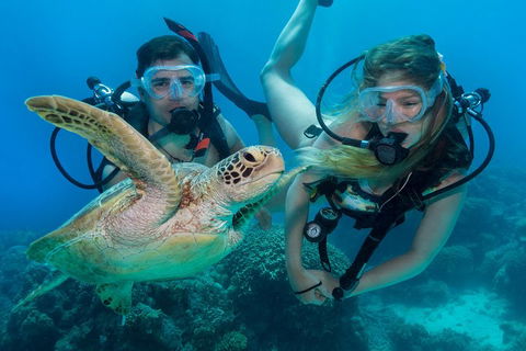Great Barrier Reef Diving And Snorkeling Cruise From Cairns - Mackay Tourism 4