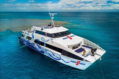 Great Barrier Reef Diving And Snorkeling Cruise From Cairns - Mackay Tourism 5