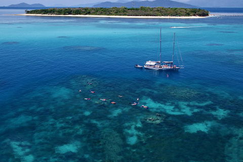Ocean Free Green Island & Great Barrier Reef Snorkel Cruise, Cairns 25 Guests - Mackay Tourism 2