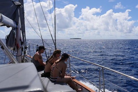 Ocean Free Green Island & Great Barrier Reef Snorkel Cruise, Cairns 25 Guests - Mackay Tourism 4