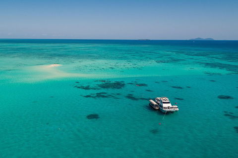 Ocean Freedom Great Barrier Reef Personal Luxury Snorkel & Dive Cruise, Cairns - Mackay Tourism 2