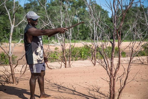 6 -Day East Arnhem Land Adventure - Mackay Tourism 5