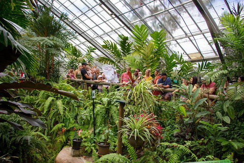 Australian Butterfly Sanctuary - Mackay Tourism 0