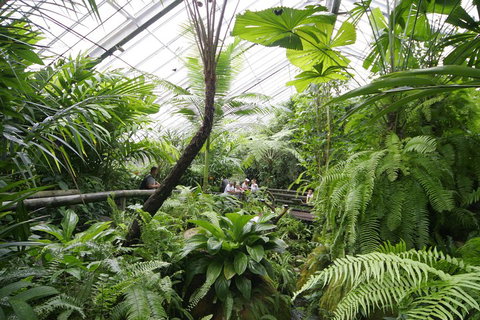 Australian Butterfly Sanctuary - Mackay Tourism 3