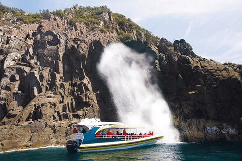 Full-Day Bruny Island Cruises Day Tour From Hobart - Mackay Tourism 4