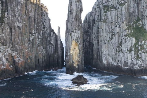 Tasman Island Cruises And Port Arthur Historic Site Day Tour From Hobart - Mackay Tourism 2