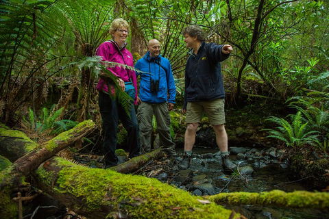 Bruny Island Traveller - Gourmet Tasting And Sightseeing Day Trip From Hobart - Mackay Tourism 1