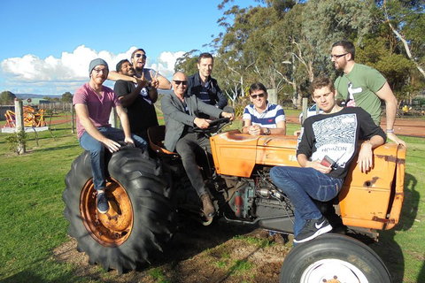 1/2 Day Swan Valley Wine Cheese & Chocolate Tour Inc Afternoon Cruise To Perth - Mackay Tourism 1