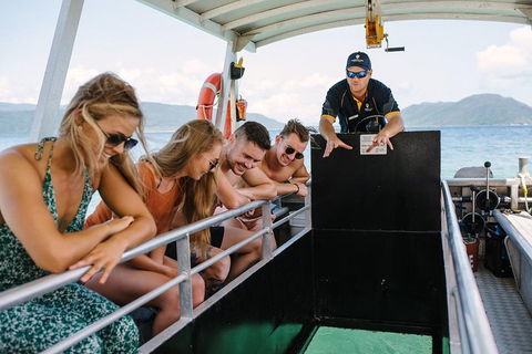 Fitzroy Island Day Trip From Cairns - Mackay Tourism 4
