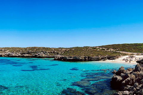 Rottnest Island Roundtrip Fast Ferry From Hillarys Boat Harbour - Mackay Tourism 4