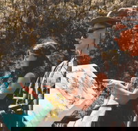 Springbrook andTamborine Rainforest Tour Incl Natural Bridge and Glow Worm Cave - Mackay Tourism