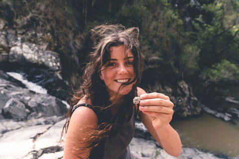 Springbrook AndTamborine Rainforest Tour Incl Natural Bridge And Glow Worm Cave - Mackay Tourism 1