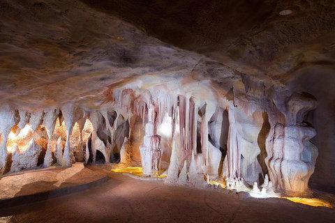 Springbrook AndTamborine Rainforest Tour Incl Natural Bridge And Glow Worm Cave - Mackay Tourism 4