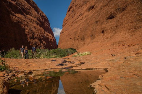 4 Day/3 Night Perentie Dreaming Safari - Mackay Tourism 3