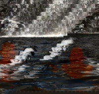 3 Day 4WD Dragonfly Dreaming Top End Safari - Mackay Tourism