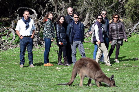 2-Day Kangaroo Island 4WD Small-Group Tour From Adelaide - Mackay Tourism 1