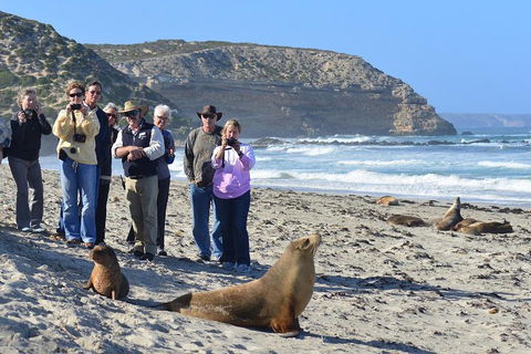 2-Day Kangaroo Island 4WD Small-Group Tour From Adelaide - Mackay Tourism 3