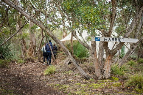 2-Day Kangaroo Island 4WD Small-Group Tour From Adelaide - Mackay Tourism 5