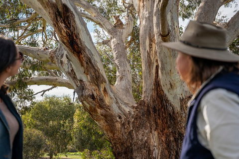 NEW TOUR - Kangaroo Island Road To Recovery Tour (1 Day/1 Night) - Mackay Tourism 0