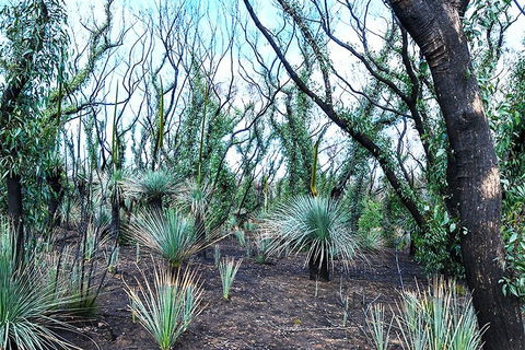NEW TOUR - Kangaroo Island Road To Recovery Tour (1 Day/1 Night) - Mackay Tourism 3