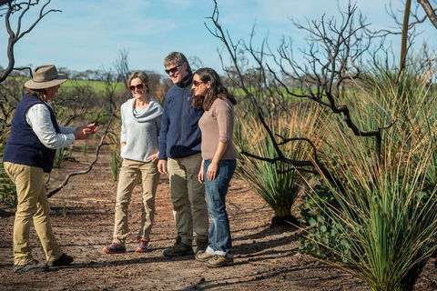 NEW TOUR - Kangaroo Island Road To Recovery Tour (1 Day/1 Night) - Mackay Tourism 4