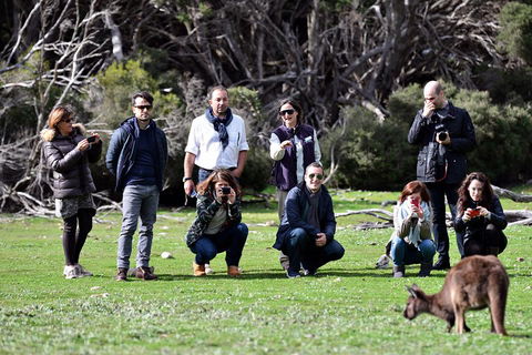 Small-Group Kangaroo Island 4WD Tour From Adelaide - Mackay Tourism 2