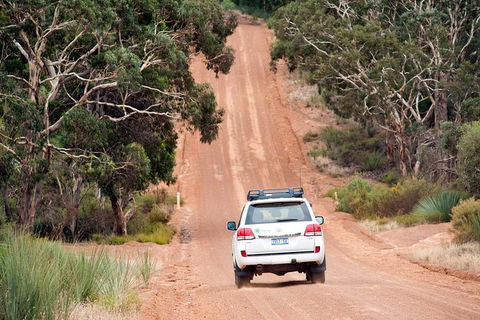 Small-Group Kangaroo Island 4WD Tour From Adelaide - Mackay Tourism 3